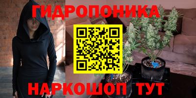 ALPHA PVP Кунгур